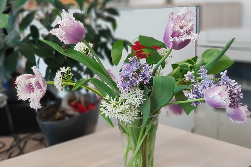 A flower arrangement in a vase